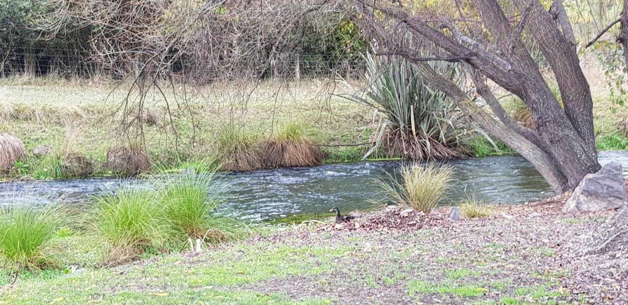 Spring Creek Holiday Park Blenheim Exterior foto
