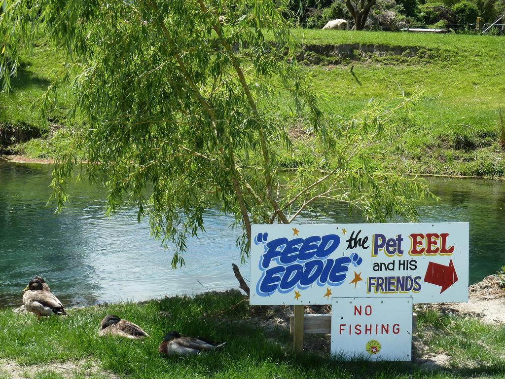 Spring Creek Holiday Park Blenheim Exterior foto